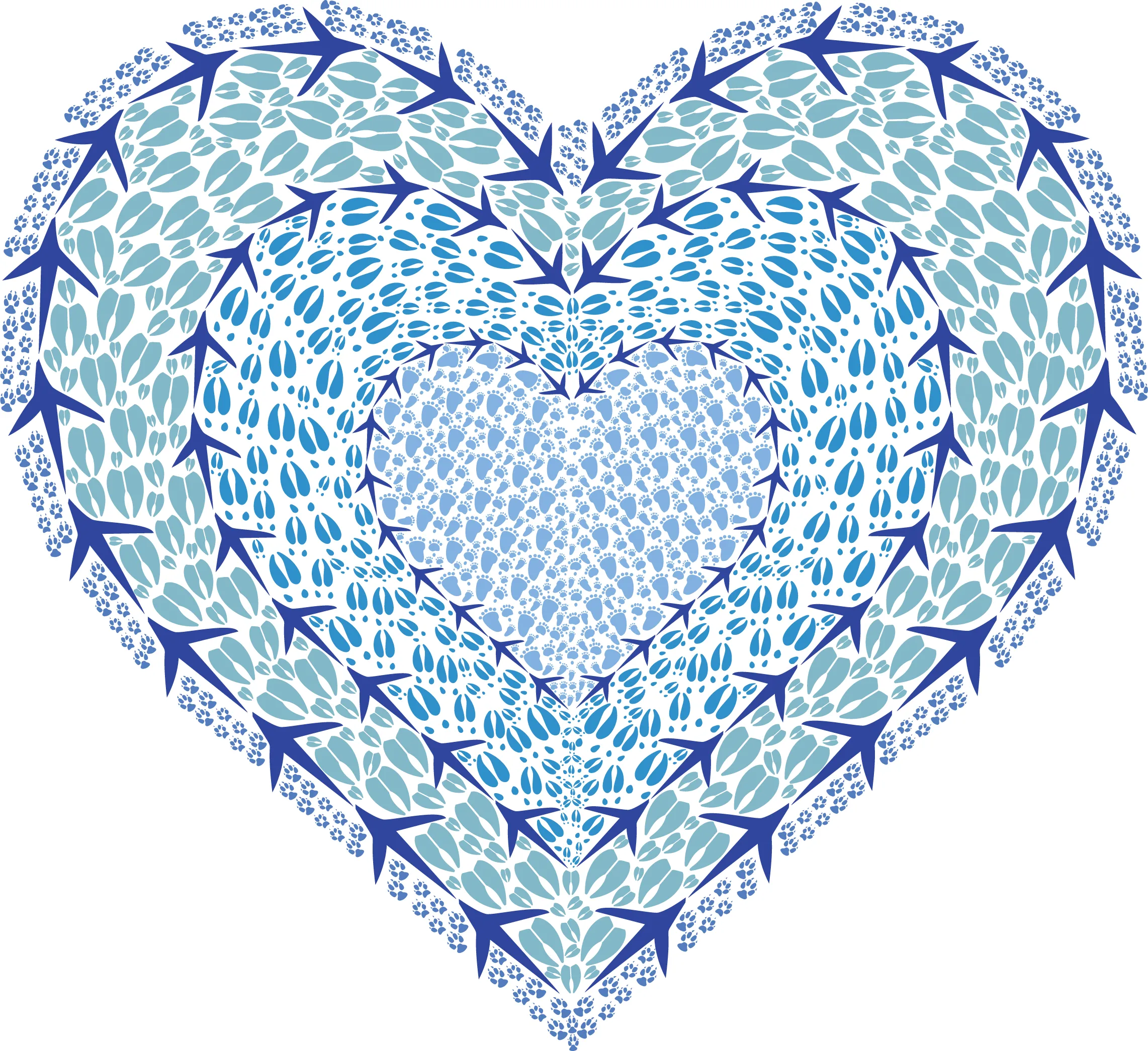 Blue Heart 8 Pack Notes