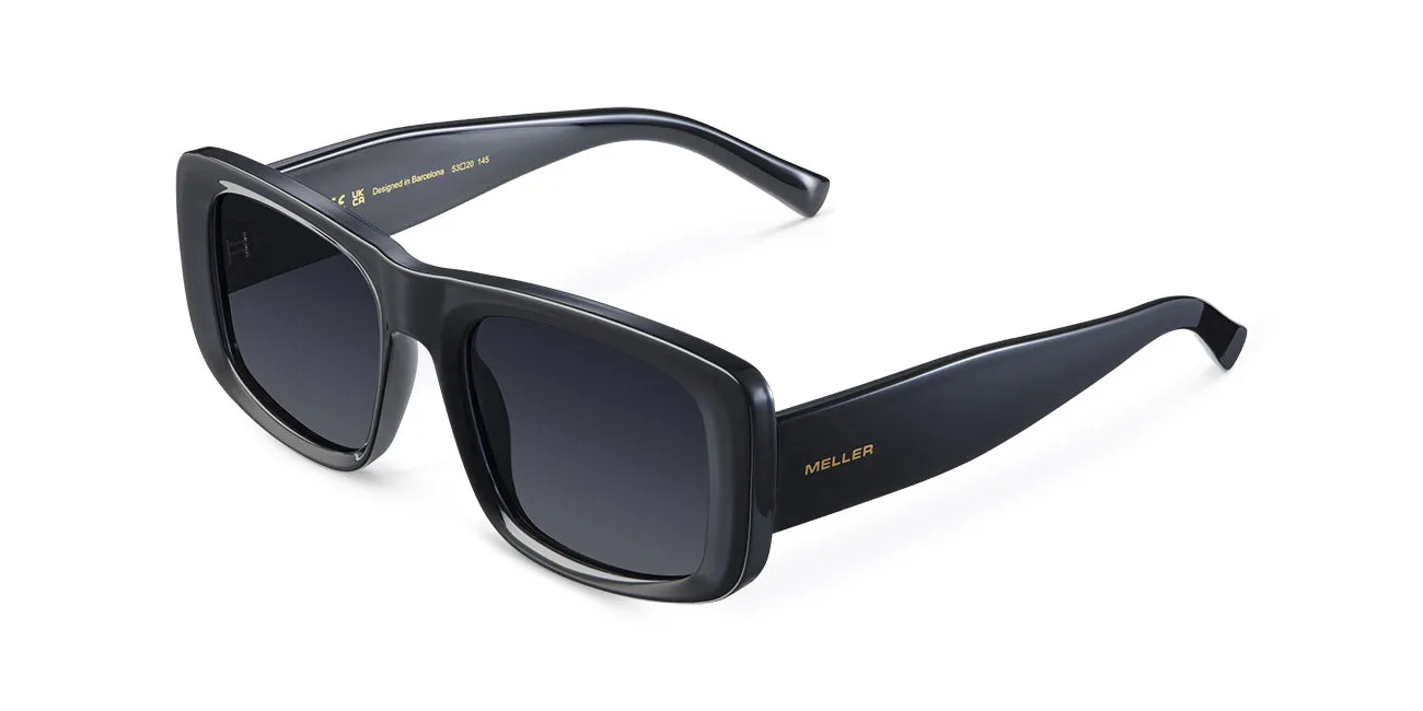Delu Sunglasses All Black