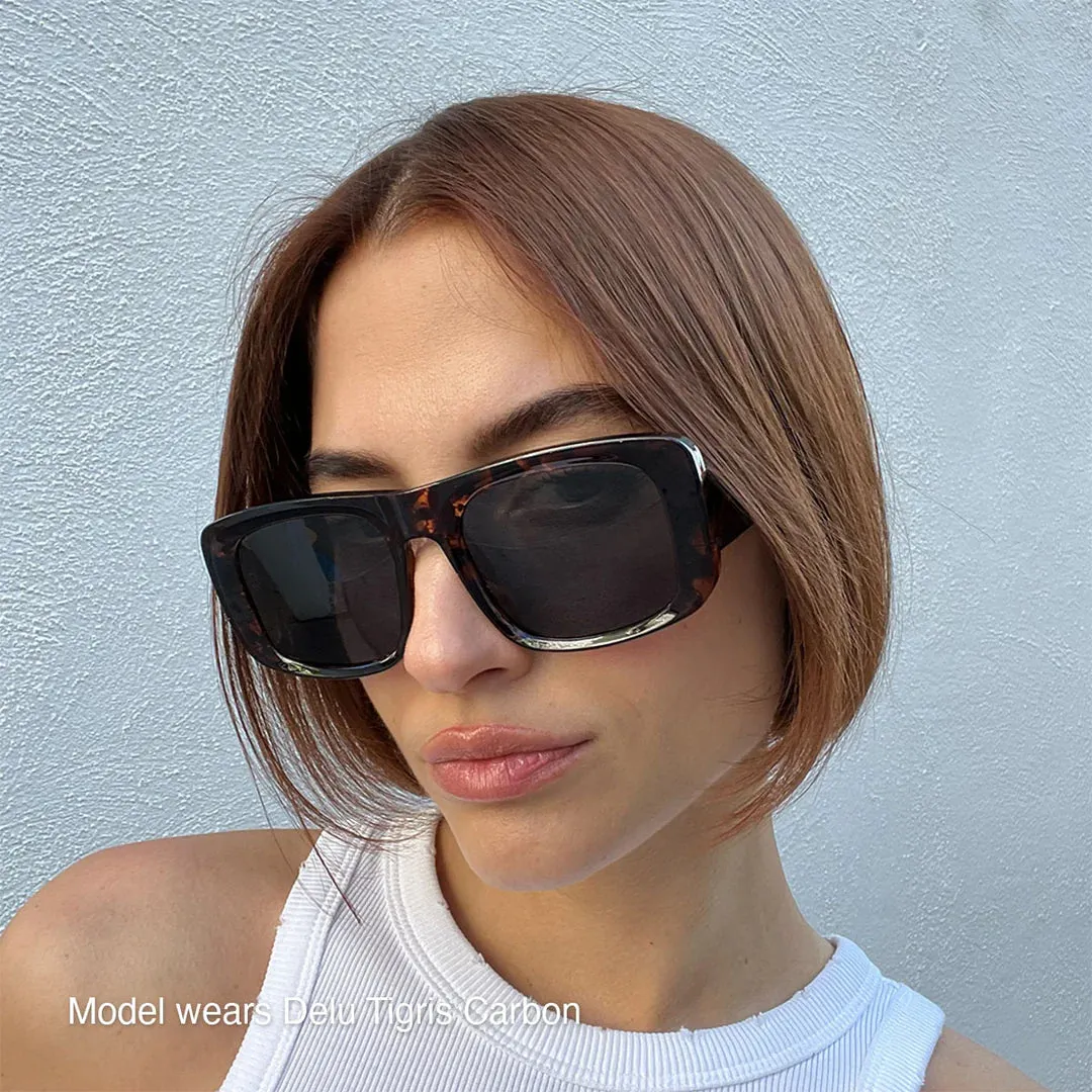 Delu Sunglasses All Black