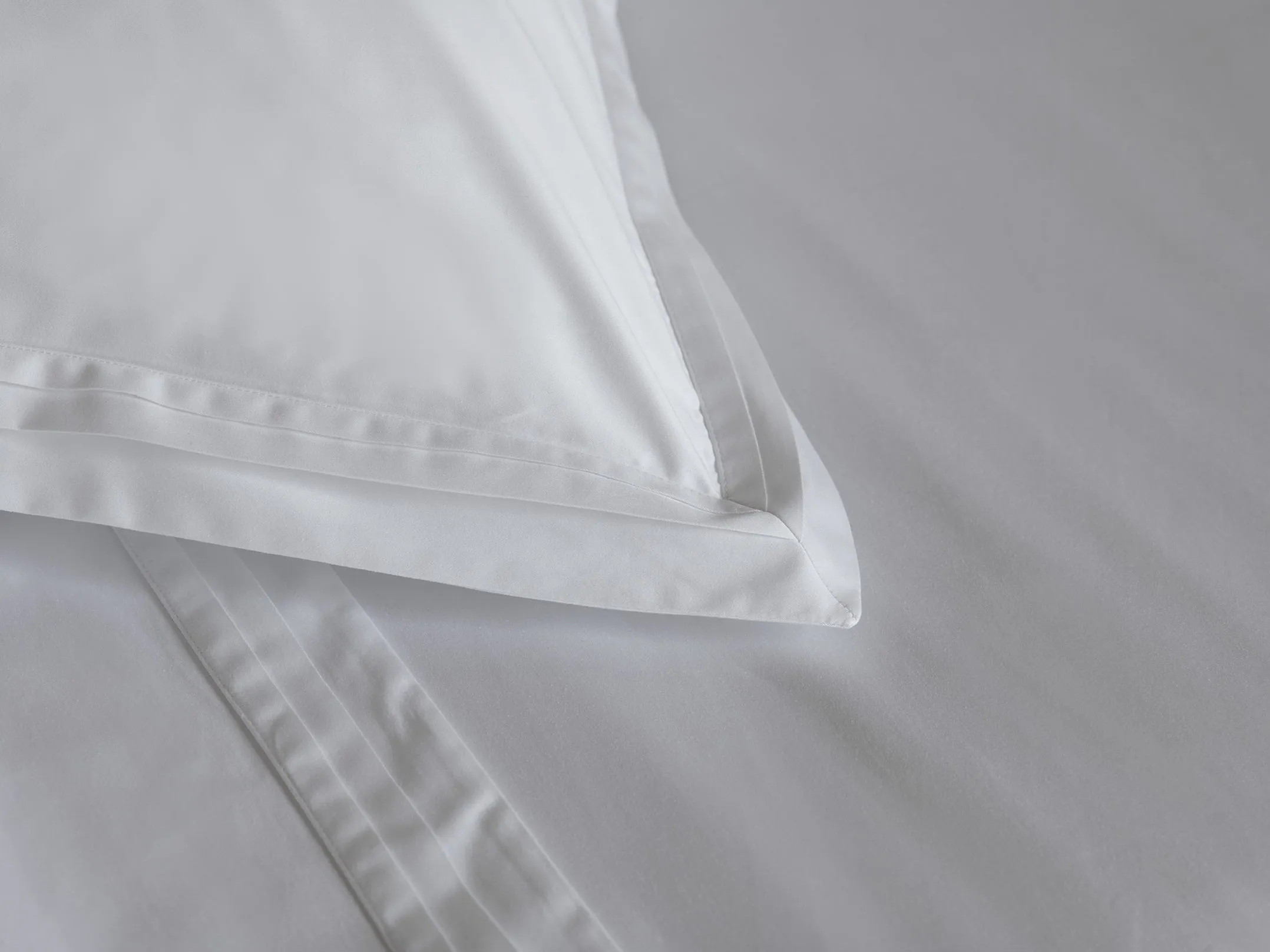 éden pillowcase pair