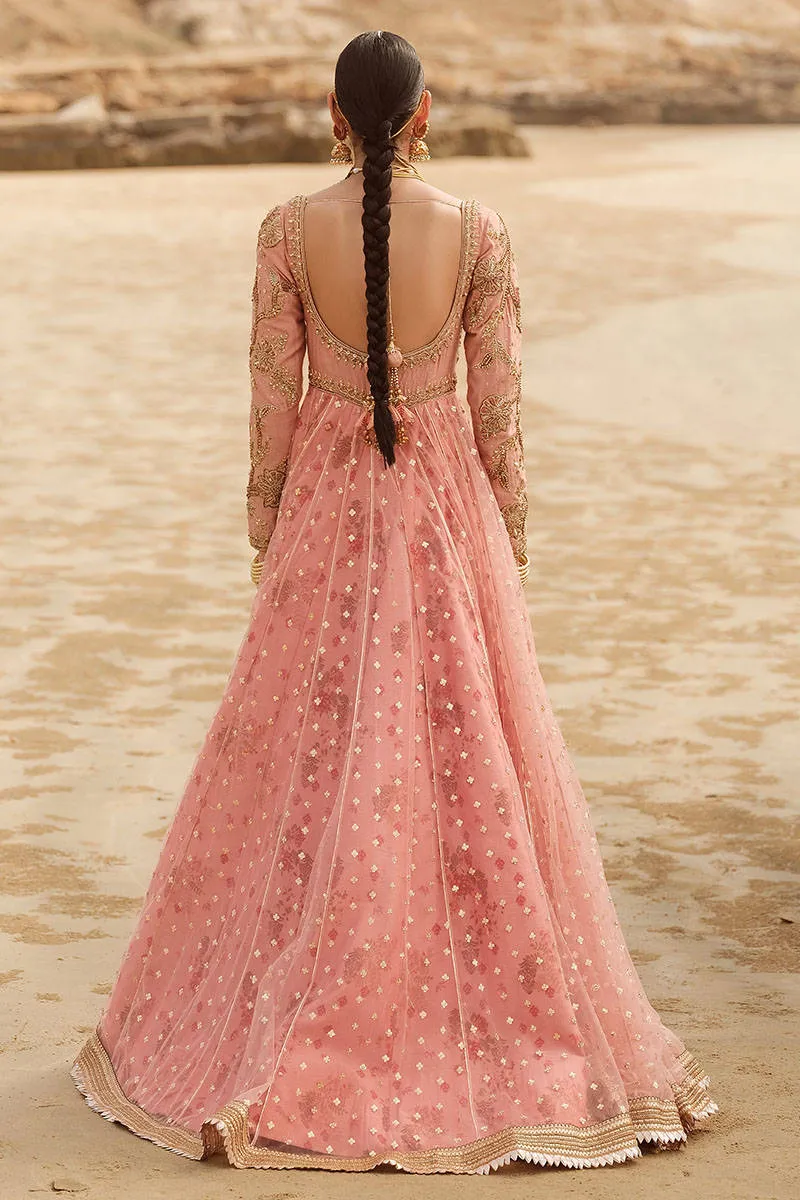 Embroidered Tea Pink Elegant Pakistani Wedding Wear Pishwas Frock