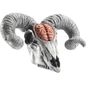 Latex Rams Skull Prop With Exposed Brain