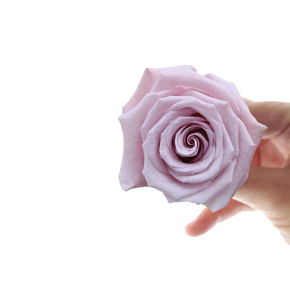 Lavender Roses
