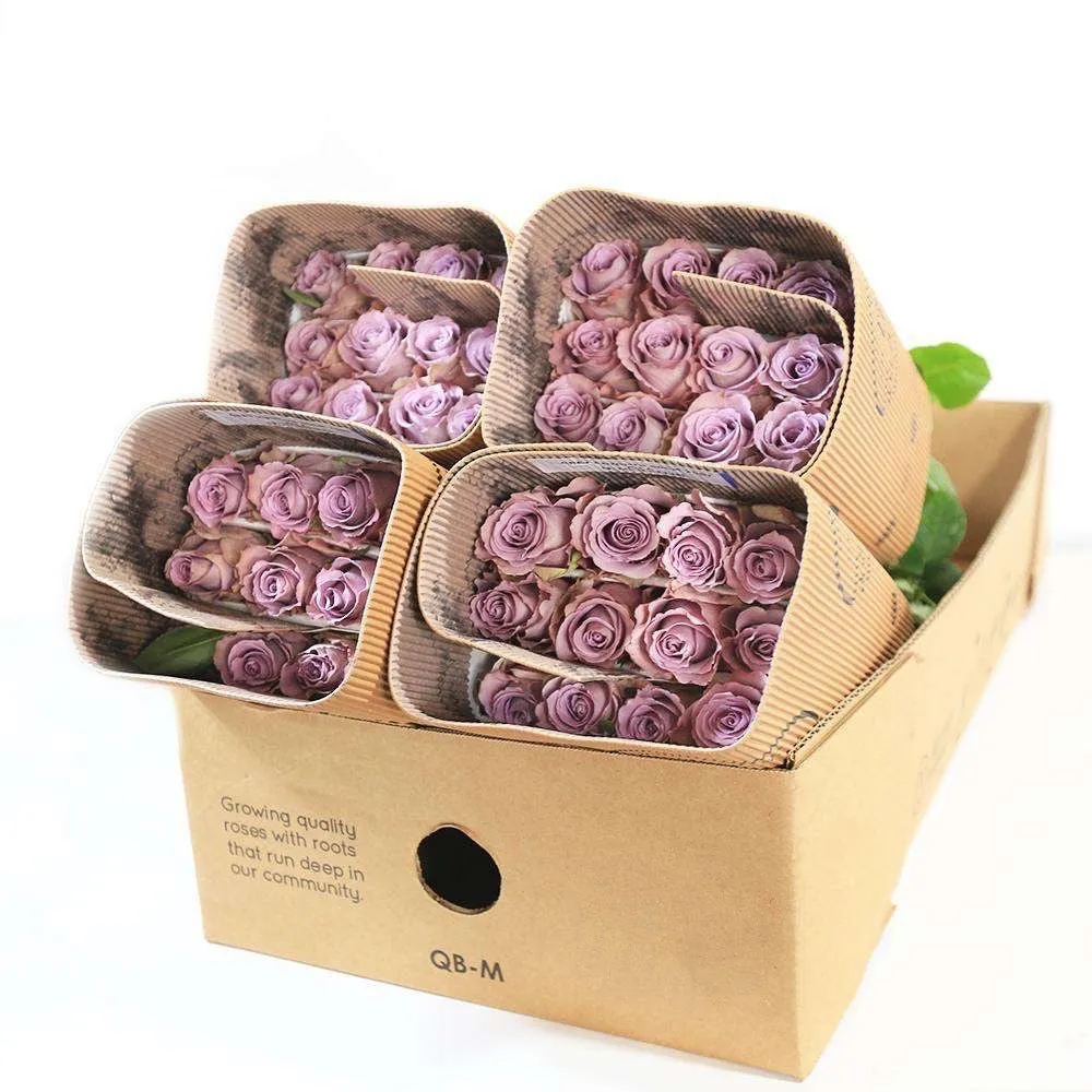 Lavender Roses