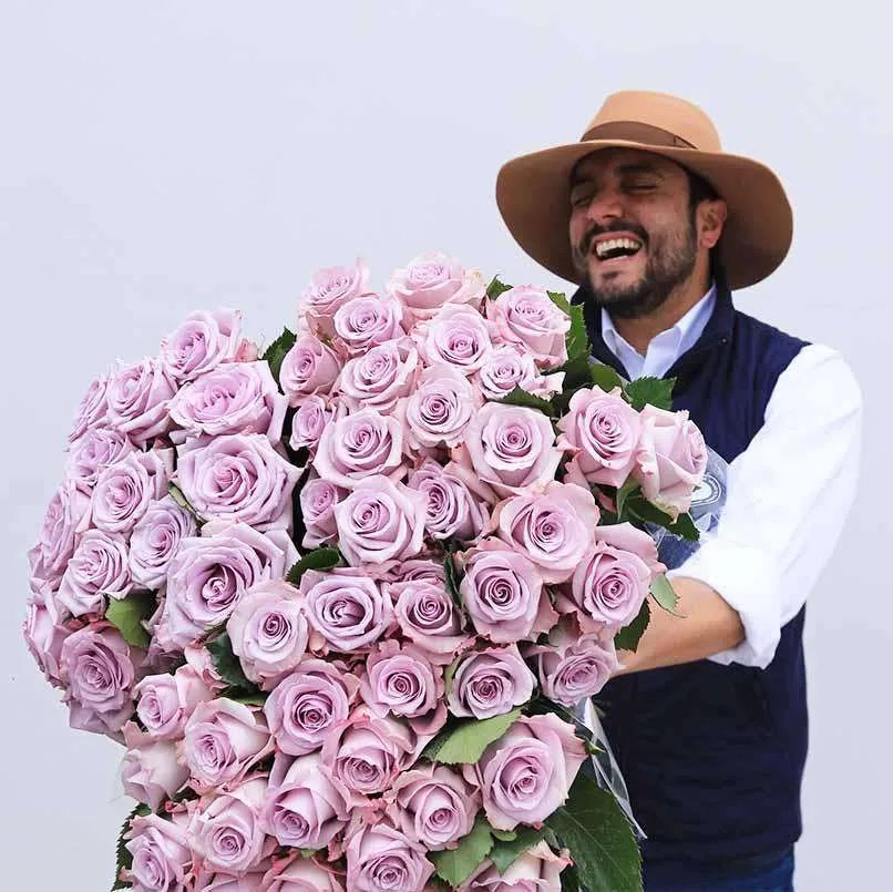 Lavender Roses
