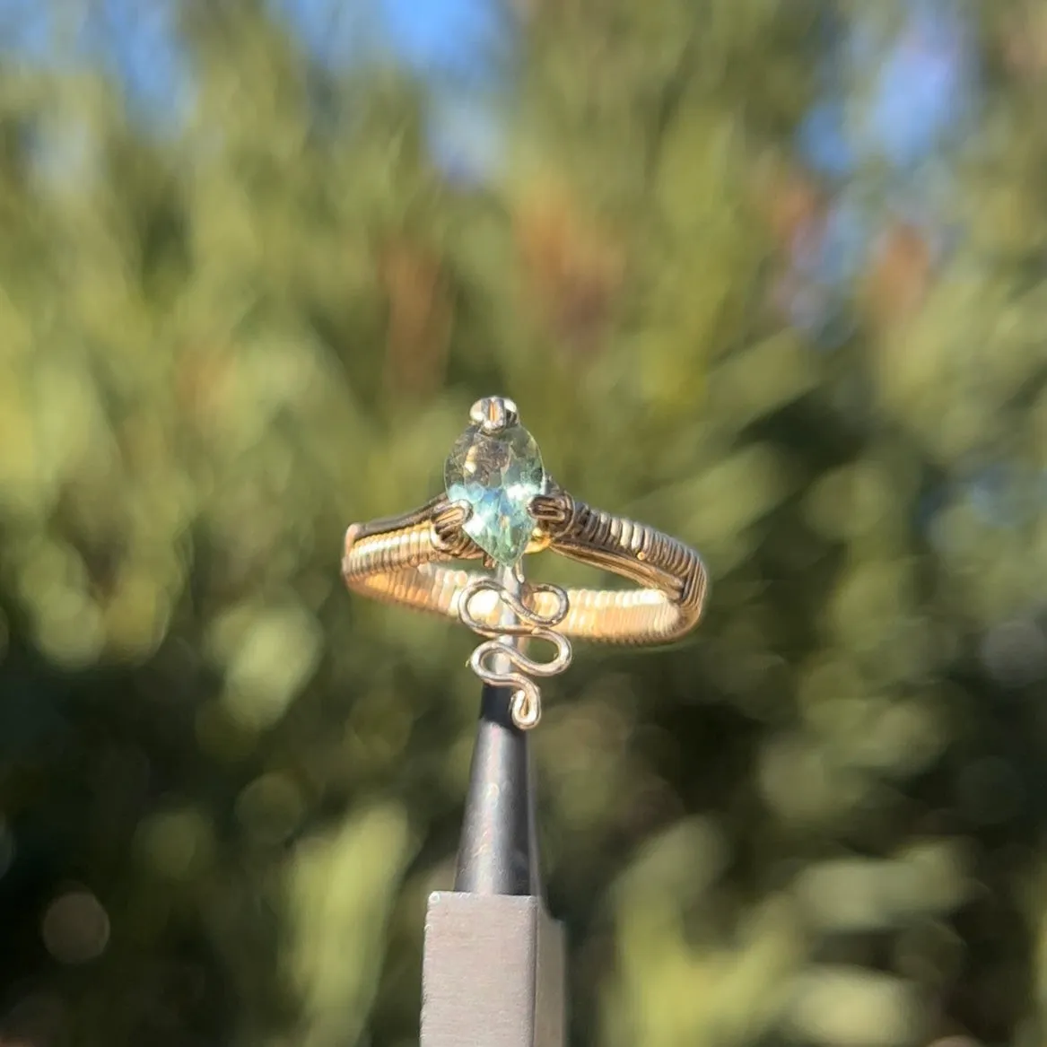 Nagini Ring𓆙