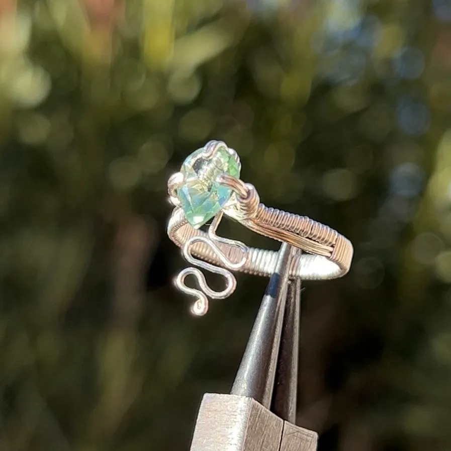 Nagini Ring𓆙