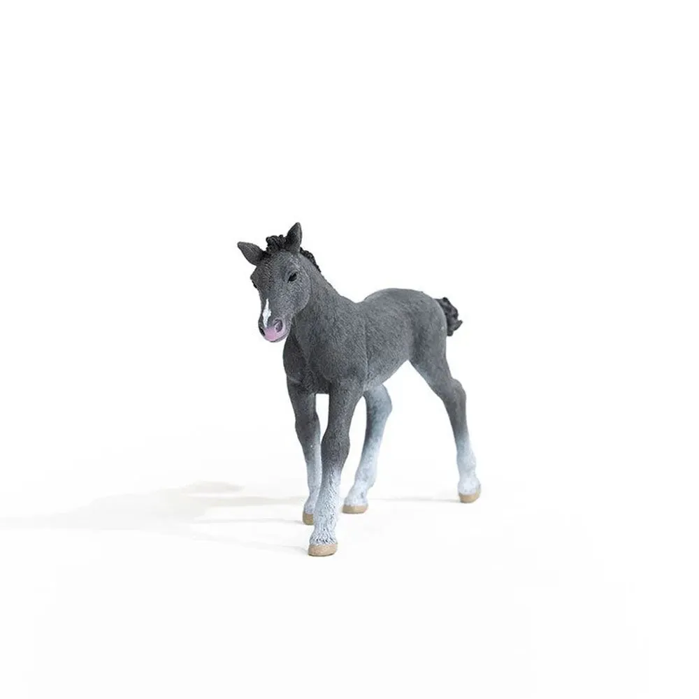 Schleich - Trakehner Foal