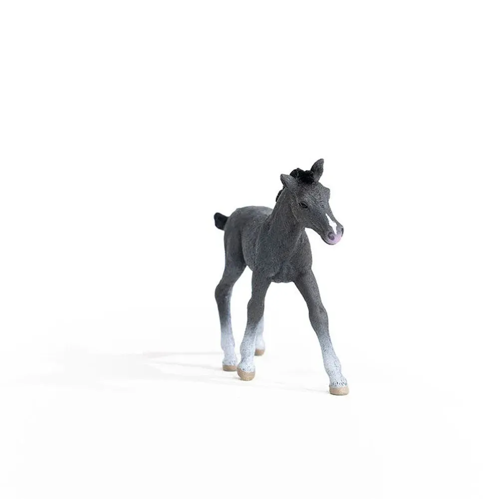 Schleich - Trakehner Foal