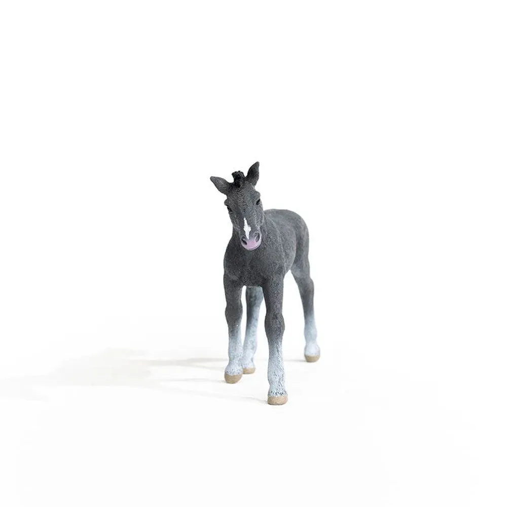 Schleich - Trakehner Foal